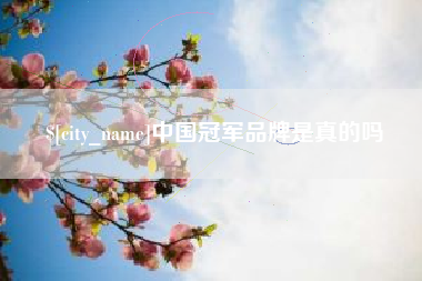 松原中国冠军品牌是真的吗