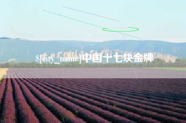 松原中国十七块金牌