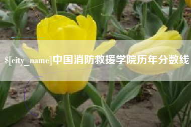 松原中国消防救援学院历年分数线