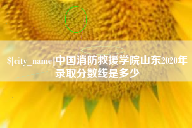 松原中国消防救援学院山东2020年录取分数线是多少