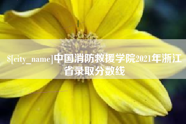 松原中国消防救援学院2021年浙江省录取分数线