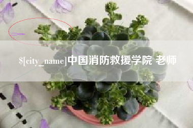 松原中国消防救援学院 老师