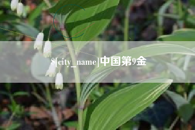 松原中国第9金