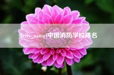 松原中国消防学校排名