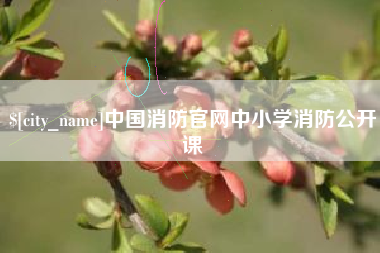 松原中国消防官网中小学消防公开课