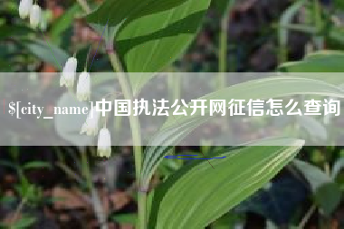 松原中国执法公开网征信怎么查询