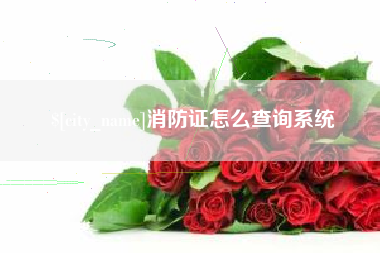 松原消防证怎么查询系统