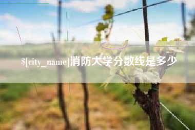 松原消防大学分数线是多少