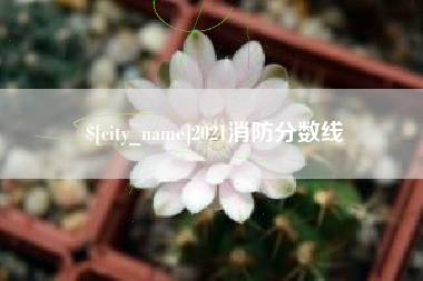 松原2021消防分数线