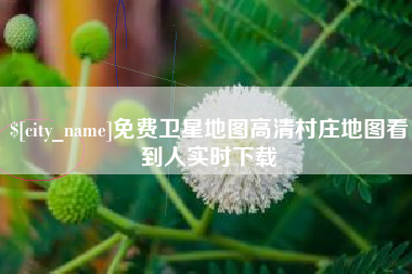 松原免费卫星地图高清村庄地图看到人实时下载