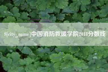 松原中国消防救援学院2018分数线