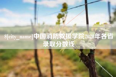 松原中国消防救援学院2020年各省录取分数线
