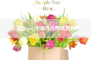 松原中国执行网信息官网