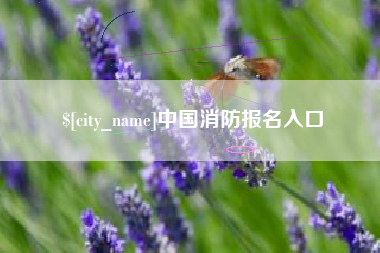 松原中国消防报名入口