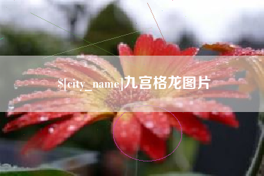 松原九宫格龙图片