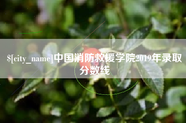 松原中国消防救援学院2019年录取分数线