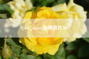 松原金牌图片2021
