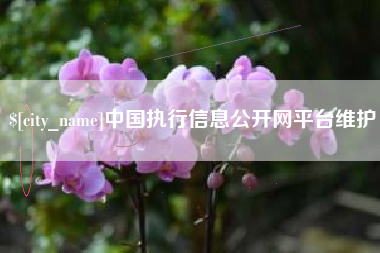 松原中国执行信息公开网平台维护