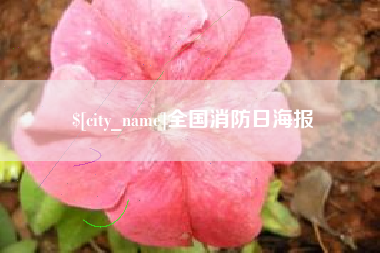 松原全国消防日海报