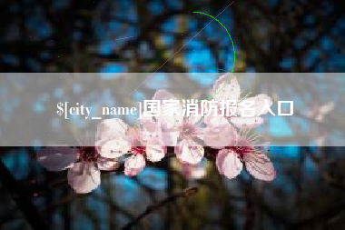松原国家消防报名入口