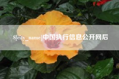 松原中国执行信息公开网后