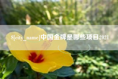 松原中国金牌是哪些项目2021