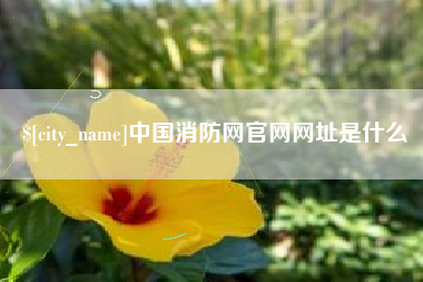 松原中国消防网官网网址是什么