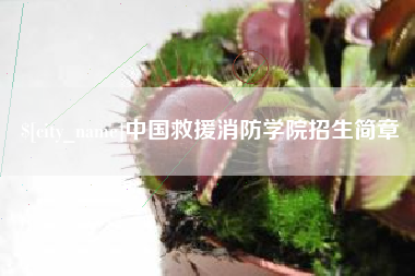松原中国救援消防学院招生简章