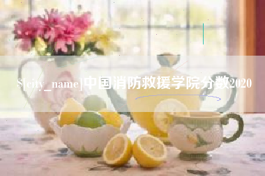松原中国消防救援学院分数2020