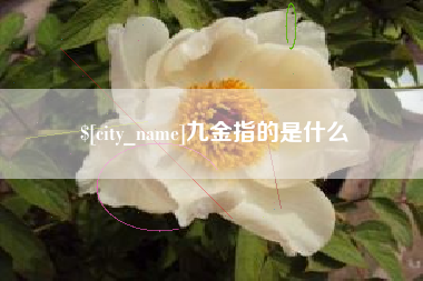 松原九金指的是什么