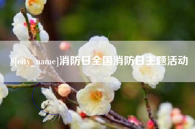 松原消防日全国消防日主题活动