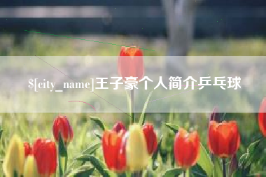 松原王子豪个人简介乒乓球