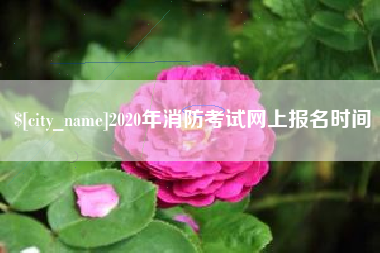 松原2020年消防考试网上报名时间
