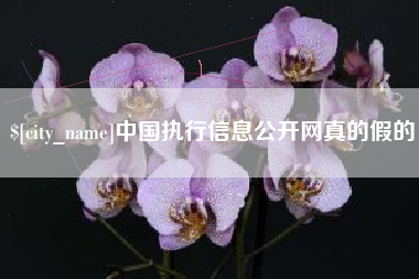 松原中国执行信息公开网真的假的