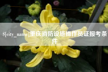 松原重庆消防设施操作员证报考条件
