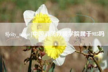 松原中国消防救援学院属于985吗
