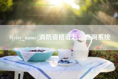 松原消防资格证怎么查询系统