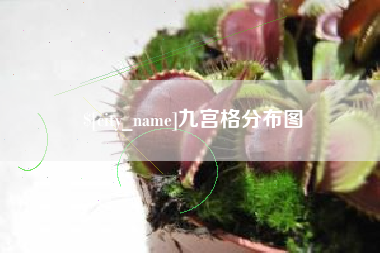 松原九宫格分布图