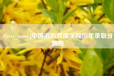 松原中国消防救援学院历年录取分数线