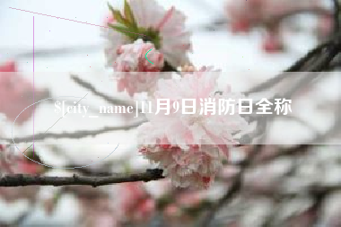 松原11月9日消防日全称