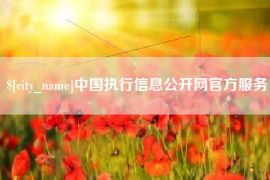 松原中国执行信息公开网官方服务
