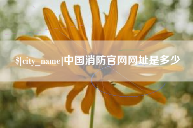松原中国消防官网网址是多少