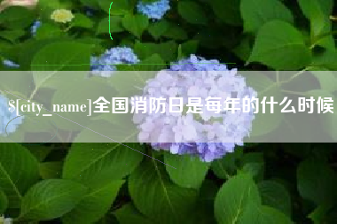 松原全国消防日是每年的什么时候