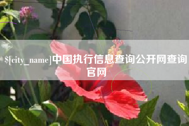 松原中国执行信息查询公开网查询官网