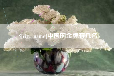 松原中国的金牌有几名