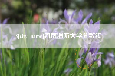 松原河南消防大学分数线