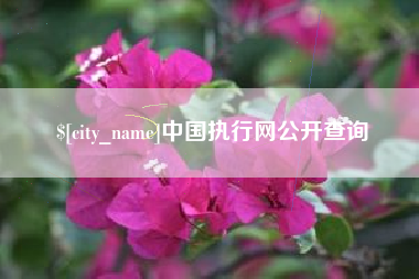 松原中国执行网公开查询