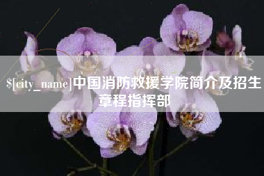 松原中国消防救援学院简介及招生章程指挥部