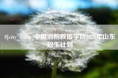 松原中国消防救援学院2021年山东招生计划