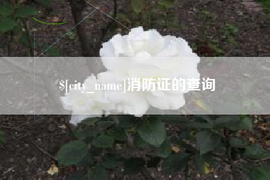松原消防证的查询